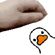 pet ducky Discord emoji — free animated GIF download