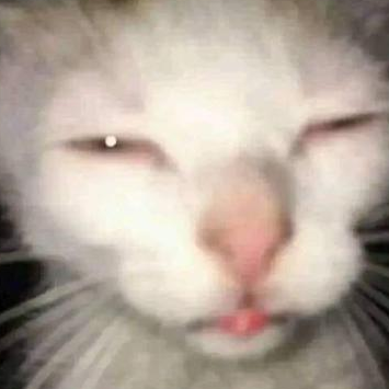 broijustwokeup Discord emoji - free download
