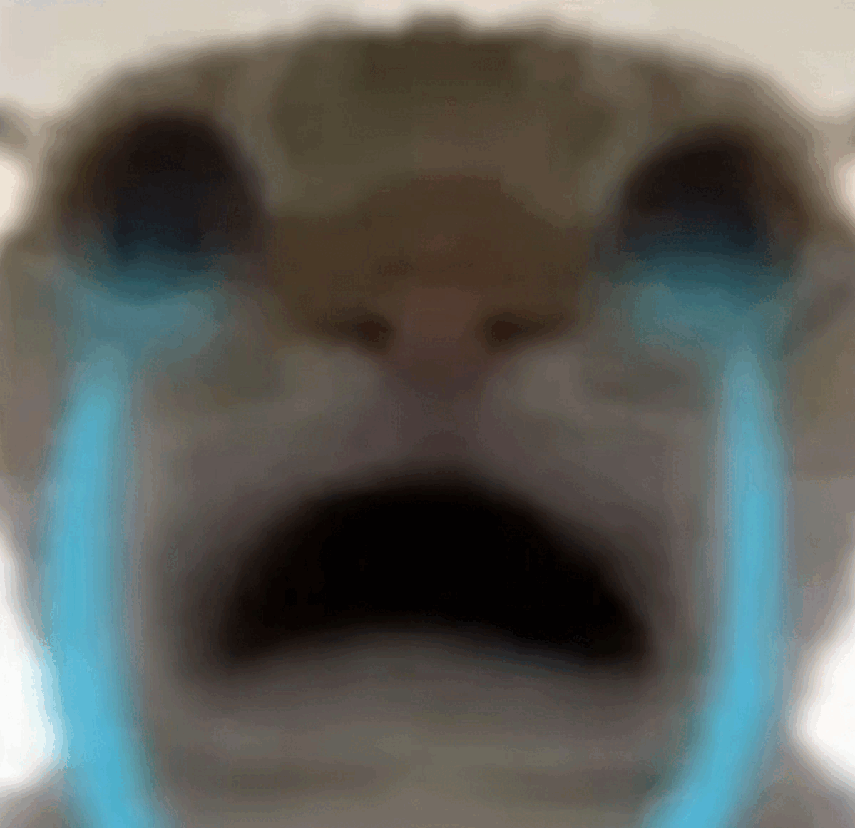 cryingcat Discord emoji — free animated GIF download