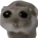 sadhamster Discord emoji — free static PNG download