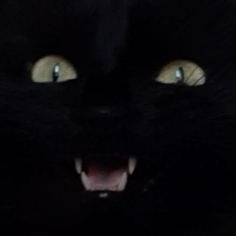 bunnyu Discord emoji — free static PNG download