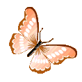 orange butterfly Discord emoji - free download