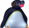 pingu cool Discord emoji — free static PNG download