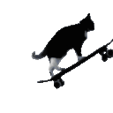 skateboardingkitty Discord emoji — free animated GIF download