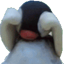 pinga cry Discord emoji — free animated GIF download
