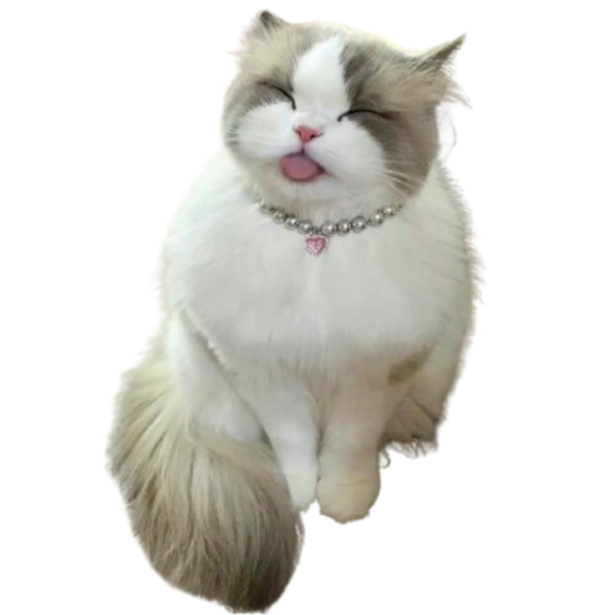 cutecattongue Discord emoji — free static PNG download