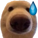 dawg uhh Discord emoji - free download