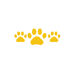 orangecatpaws Discord emoji - free download