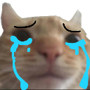 cry Discord emoji — free static PNG download