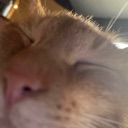 eepycar Discord emoji - free download