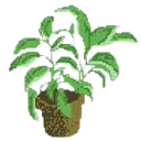 houseplant Discord emoji — free static PNG download
