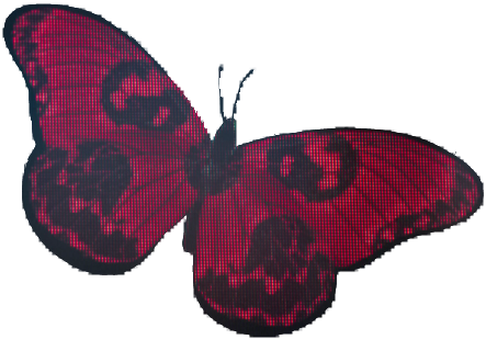 bo7butterfly Discord emoji — free static PNG download