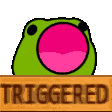 triggered froggo Discord emoji — free animated GIF download