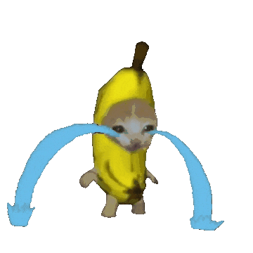 bananacat10 Discord emoji — free animated GIF download