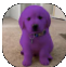 houseofpurpledog Discord emoji — free static PNG download