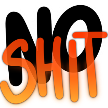noshit Discord emoji — free static PNG download