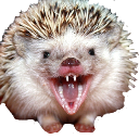 desi mad Discord emoji — free static PNG download