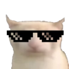 cool bruh cat Discord emoji — free static PNG download
