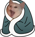 kitty blanket Discord emoji — free static PNG download