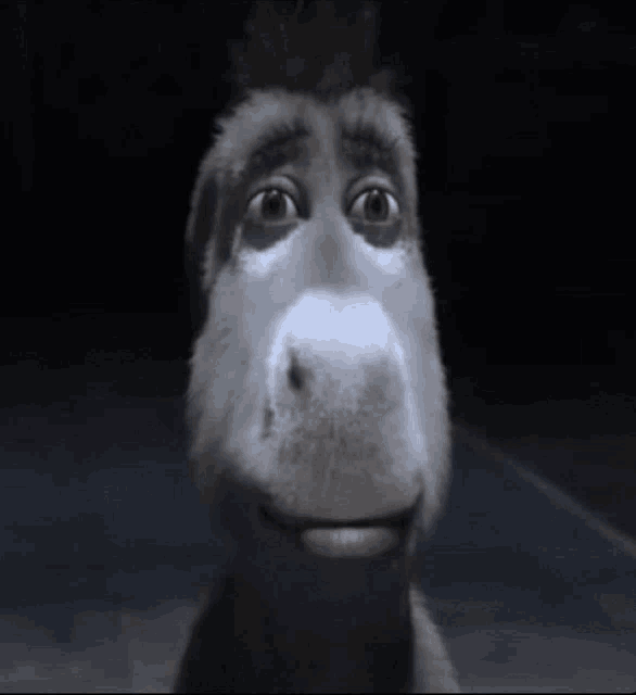 donkey stare Discord emoji — free animated GIF download