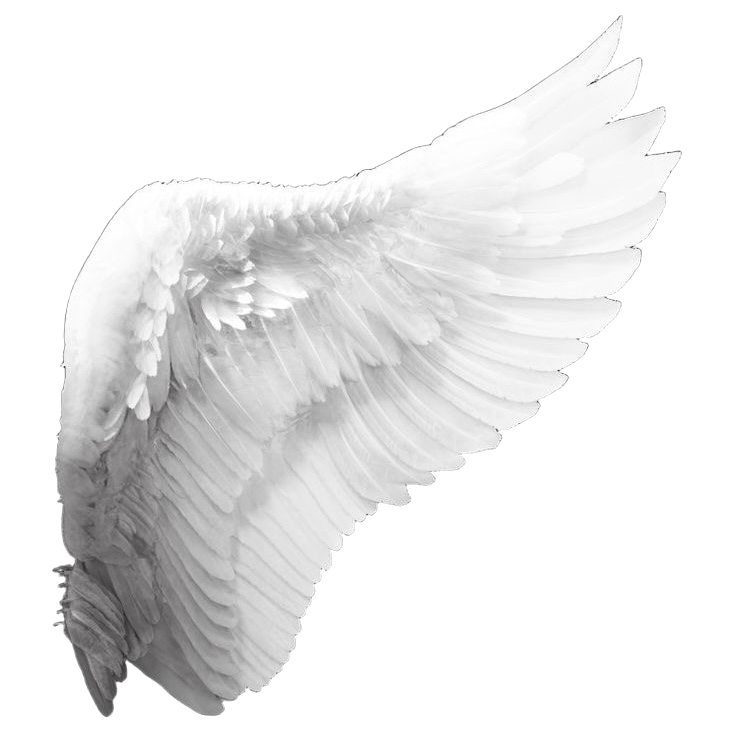 wing Discord emoji — free static PNG download