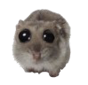 smolhamster Discord emoji — free static PNG download