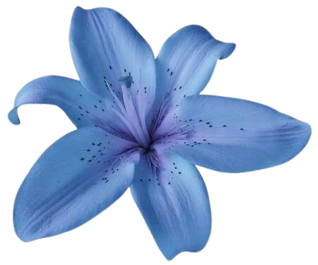 flower Discord emoji — free static PNG download