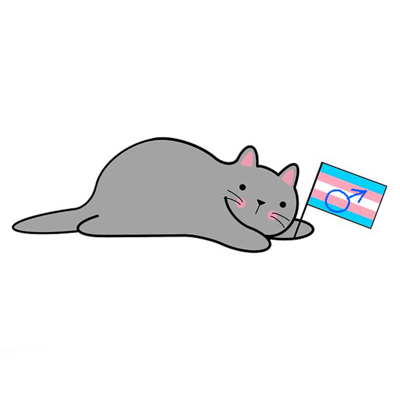 trans male cat Discord emoji — free static PNG download