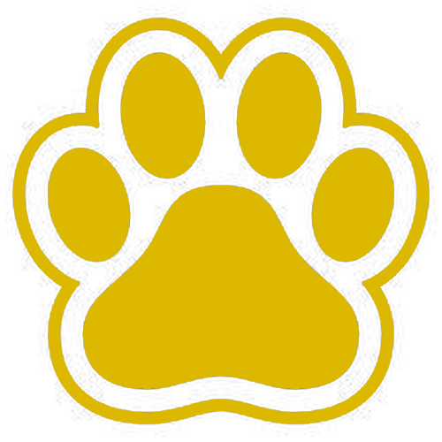 yellow Discord emoji — free static PNG download