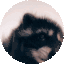 pedro Discord emoji — free animated GIF download
