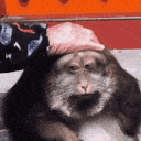 monkey sad Discord emoji — free animated GIF download
