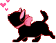 catheart Discord emoji — free animated GIF download
