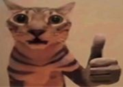 catyep Discord emoji — free static PNG download