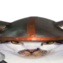 catviking2 Discord emoji - free download
