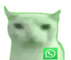 whatsupbruhcat Discord emoji — free static PNG download