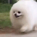 doggorun Discord emoji — free animated GIF download