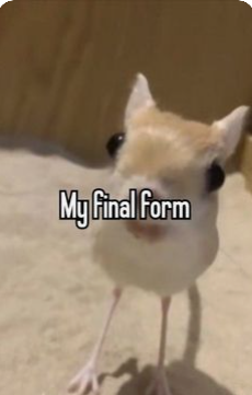 my final form Discord emoji — free static PNG download