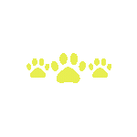 yellowcatpaws Discord emoji - free download