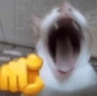 catkek Discord emoji — free static PNG download