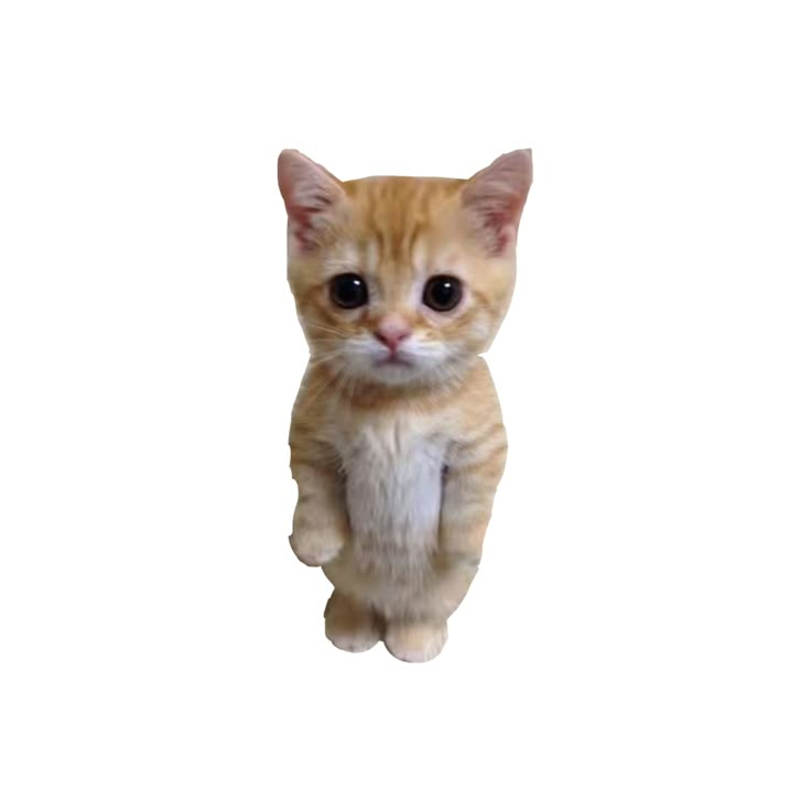19 Discord emoji - free download