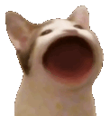 yap Discord emoji — free animated GIF download