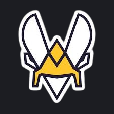 team vitality Discord emoji - free download