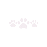 whitecatpaws Discord emoji - free download