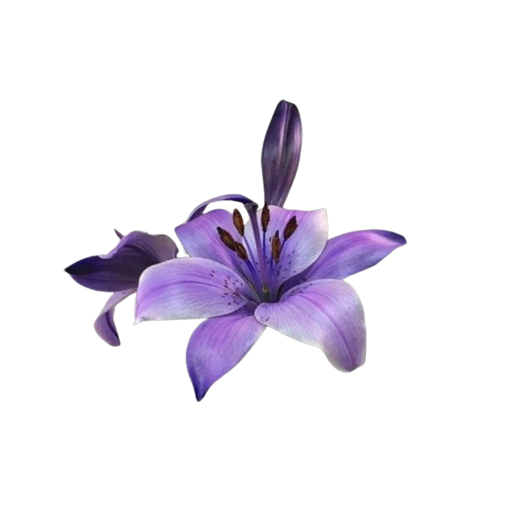 purpleflower Discord emoji — free static PNG download