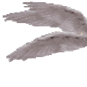benotafraid1 Discord emoji - free download