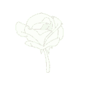 flowerwhite Discord emoji — free animated GIF download