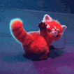 red panda butt Discord emoji — free animated GIF download