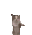 gatohappy meme Discord emoji — free animated GIF download