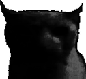 sadbruhcat Discord emoji — free static PNG download