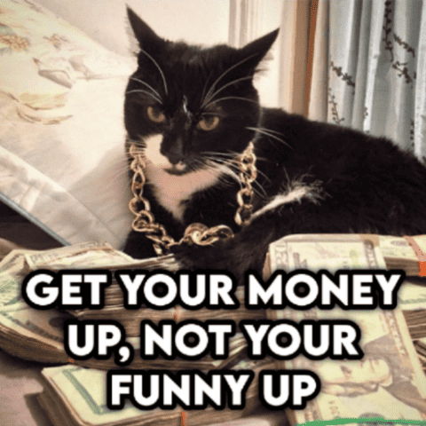 cat Discord emoji — free static PNG download